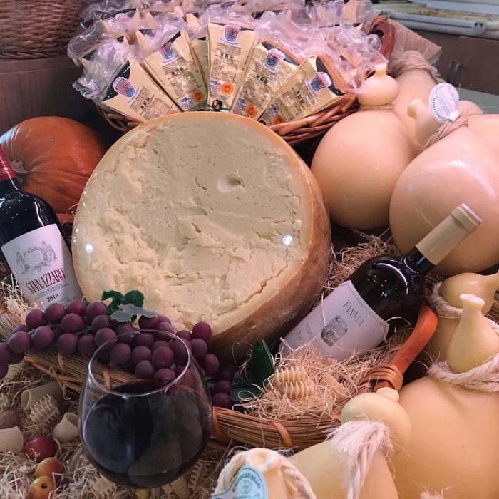 PAOLA Venafro foto 5