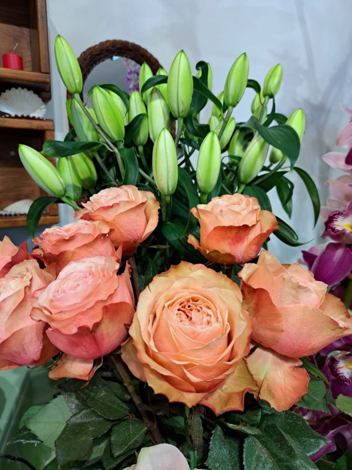 DANIELA Grosseto foto 3